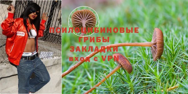 прущий лед Магас