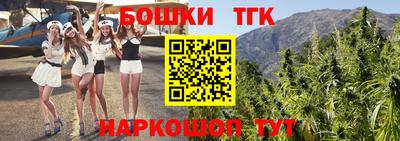 гидра Дубна