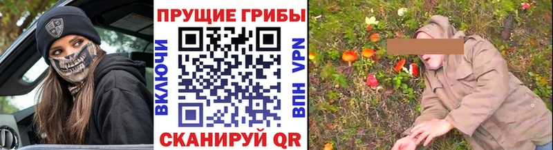 Псилоцибиновые грибы MAGIC MUSHROOMS  Тихвин 