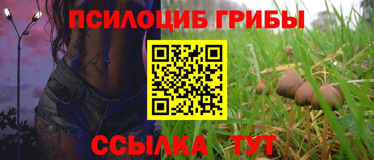 Галлюциногенные грибы Cubensis  Псилоцибиновые грибы Magic Shrooms  Тихвин  Вход с VPN 